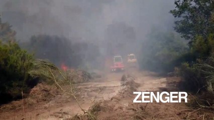 Thousands of acres destroyed by wildfire in Spain