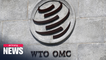 WTO rules U.S. tariffs imposed on China illegal, insists they violate international trade rules