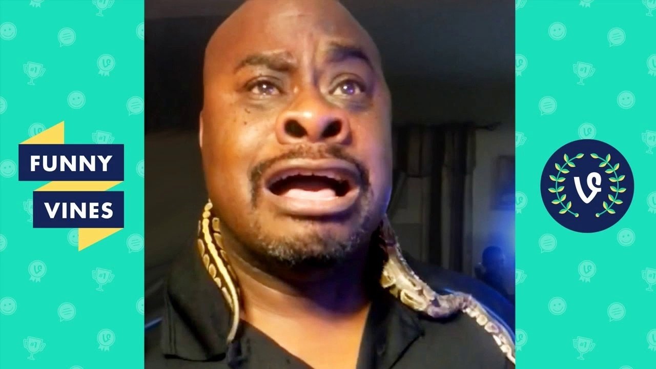 #TBT Best Funny Vines of All Time Compilation (PART 1)
