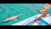Sight Casting BIG BAIT to Blacktip Sharks in Crystal Clear Water