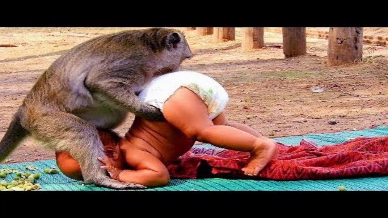 Funny Animals Trolling Babies And Kids