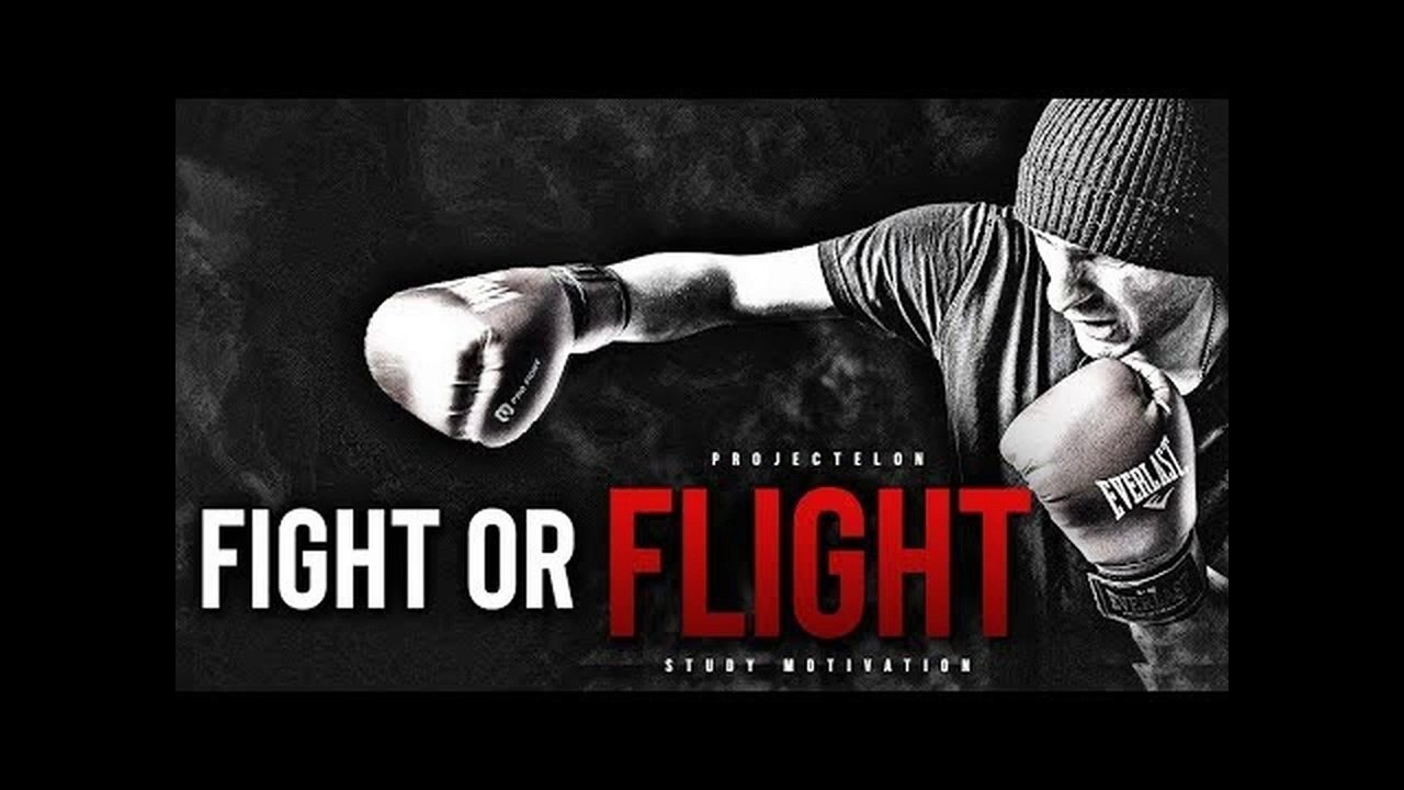 FIGHT or FLIGHT - It's Your Choice!