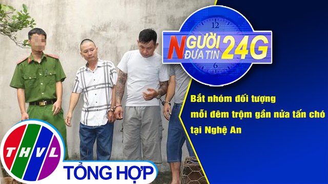 Người đưa tin 24G (6g30 ngày 16/9/2020) - Bắt nhóm đối tượng mỗi đêm trộm gần nửa tấn chó