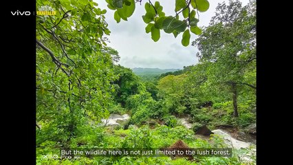 vivo x Nat Geo Traveller India | #TheUneXplored Goa | Vivo India