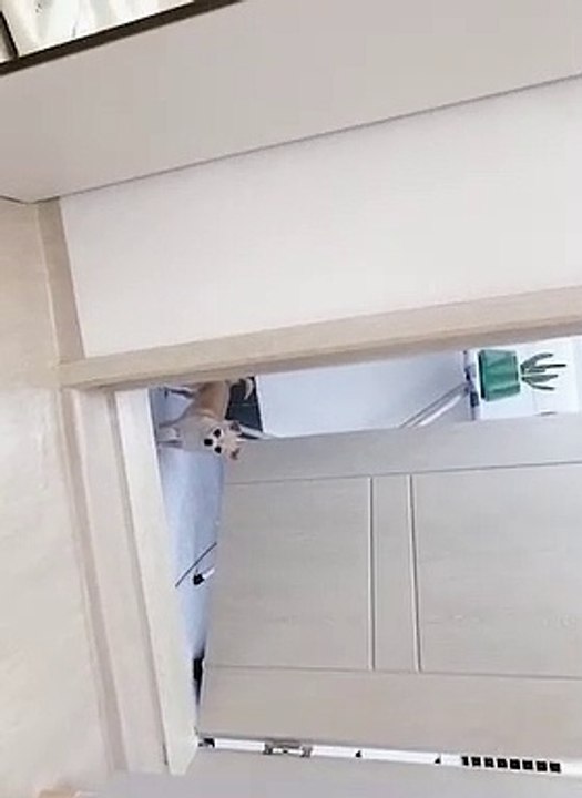 데일리모션에서 예약 업로드