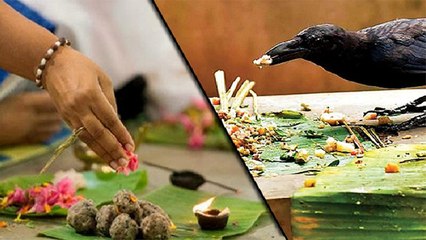 Pitru Visarjan Amavasya 2020: अमावस्या के दिन करें ये उपाय, पितृ दोष से मुक्ति मिलने की है मान्यता।