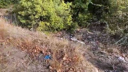 Σύγκρουση αυτοκινήτου με αγριογούρουνο ακόμη και το πρωί