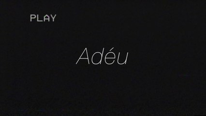 Els Amics De Les Arts - Adéu (Lyric Video)