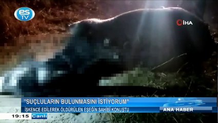 İşkence edilerek öldürülen eşeğin sahibi konuştu