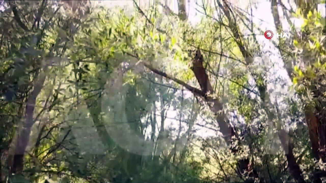 Demokrasi Şehidi Merhum Başbakan Menderes için şarkı besteledi