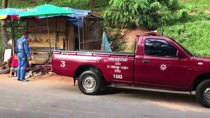 Wild python caught after eating street food vendor's paet cat under her own stall