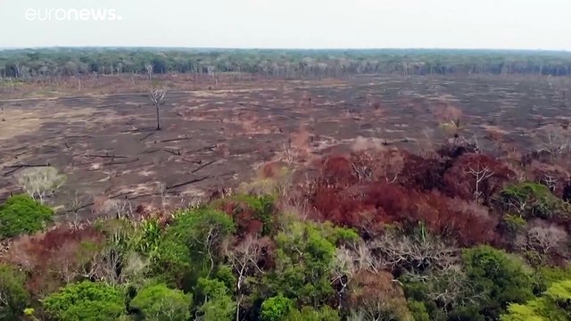 Спасти природу планеты