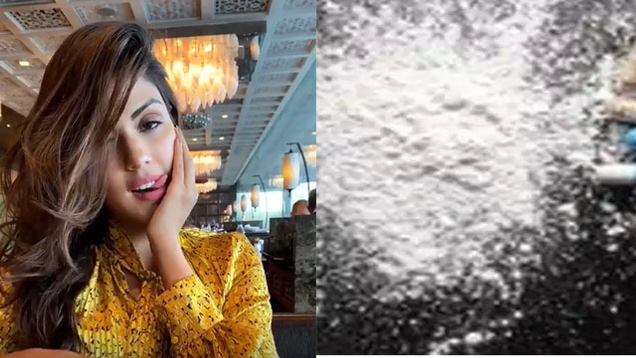 Rhea Chakraborty का ये था Drugs Menu; Sushant को भी ऐसे ही दिया करती थी Drugs ? | FilmiBeat