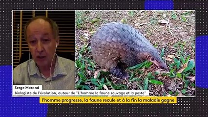 Santé : modifier les rapports entre l’homme et les animaux pour éviter de nouvelles épidémies