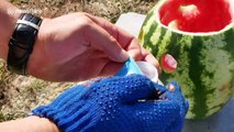 Elephant toothpaste erupts from a watermelon in this YouTuber's experiment