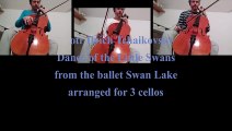 Tchaikowsky - Dance Of The Little Swans - arranged for 3 cellos
