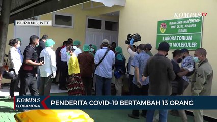 Update Corona NTT, Bertambah 13 Kasus, Sebagian Besar Pelaku Perjalanan