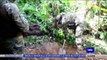 Investigan identidades de los restos óseos encontrados en fosa clandestina  - Nex Noticias