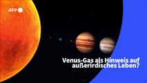 Videografik: Venus-Gas als Hinweis für außerirdisches Leben?