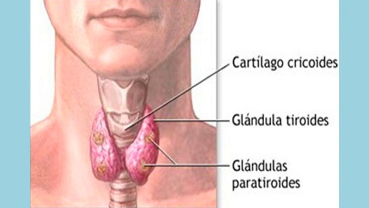 bd-hablamos-sobre-cancer-de-tiroides-160920