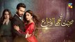 Mohabbat Tujhe Alvida Episode 15 Promo HUM TV Drama