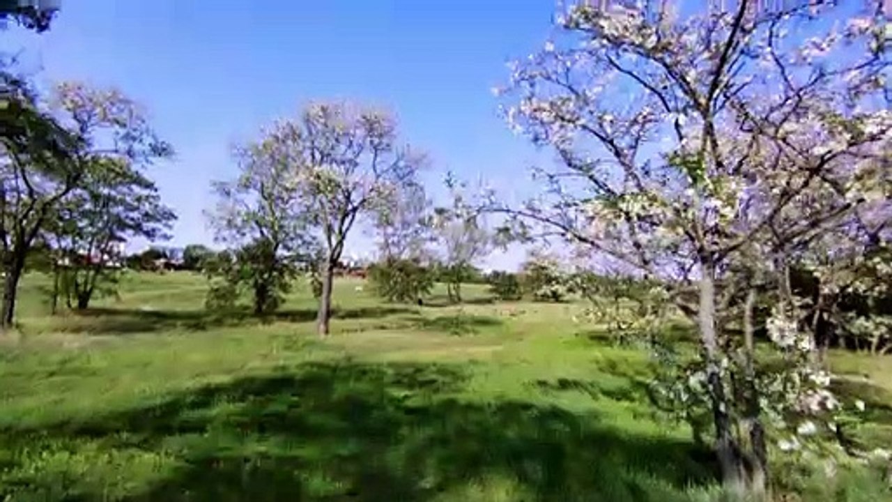 FPV Cinewhoop Slow Flow