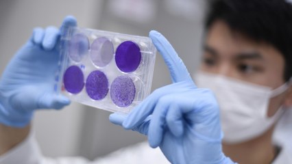 Fabrican fármaco que tendría uso terapéutico contra el coronavirus