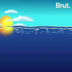 23 ocean giants that will make you feel very small