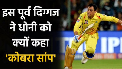 MS Dhoni is like Cobra who waits for mistake, then go for Kill says Dean Jones | Oneindia Sports