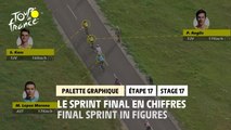 #TDF2020 - Étape 17 / Stage 17 - 3D Analysis