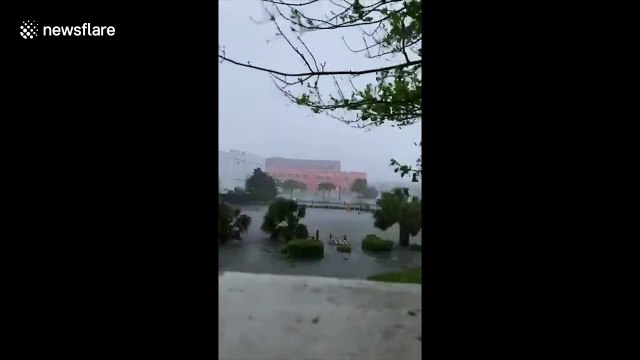 Storm surge floods Florida Panhandle as Hurricane Sally makes landfall