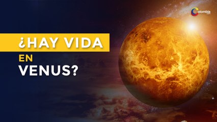 Hallan indicios de vida en Venus | Astronomía
