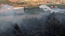 Antalya'da çalılık alanda yangın çıktı