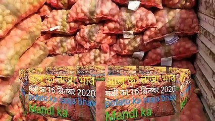 16 सितंबर 2020 आलू के भाव