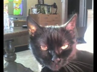 juste pour moi "Ma loulou"