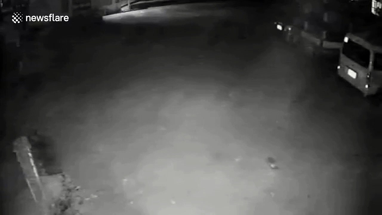 Chilling moment 'ghost' reverses truck and opens its doors