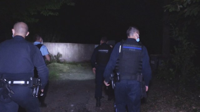 Chevaux mutilés. L'onde de choc en Bretagne