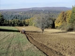 Du blé au pain : une histoire en luberon