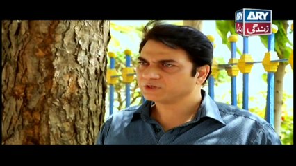 Bubbly Kya Chahti Hai Episode 107 & 108 - ARY Zindagi Drama
