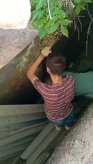 Rescuing a Puppy Trapped Between Garages