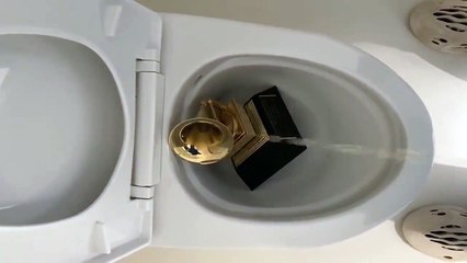 Kanye Takes A Piss On His Grammy (Must Watch)