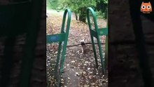 Try not to laugh #7
