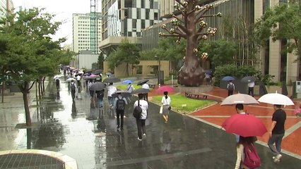 [날씨] 오늘 곳곳에 가을비...비 내리며 선선 / YTN