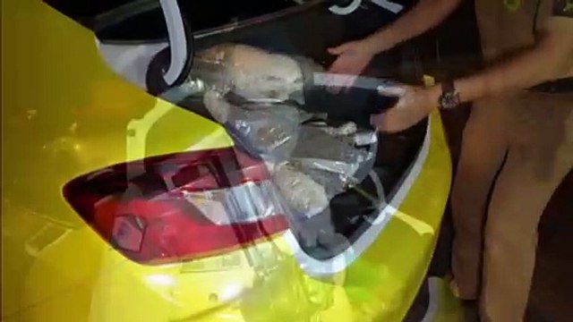 PM faz grande apreensão de maconha no Bairro Pioneiros Catarinenses