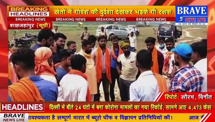 कटरा: गौवंशीय पशुओं की दुर्दशा देख यशवंत का पारा हाई, अधिकारियों को फोन कर चेताया | BRAVE NEWS LIVE