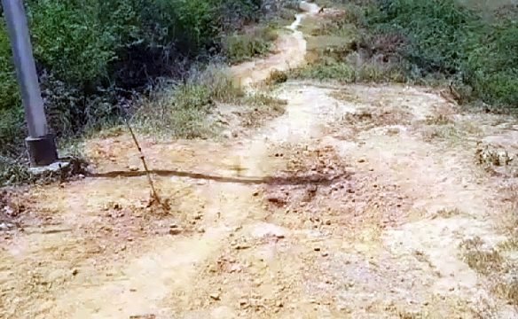 नदा गांव की ओर जाने वाले मार्ग की ग्राम प्रधान के द्वारा कराई गई साफ-सफाई