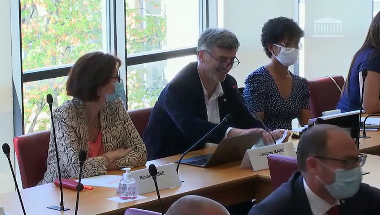 Commission des affaires étrangères : M. Franck Riester, ministre délégué auprès du ministre de l’Europe et des affaires étrangères, chargé du commerce extérieur et de l’attractivité - Mercredi 16 septembre 2020