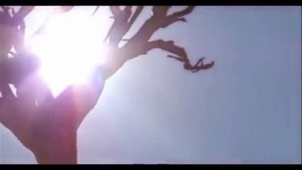 Best Arabic music No Copyright