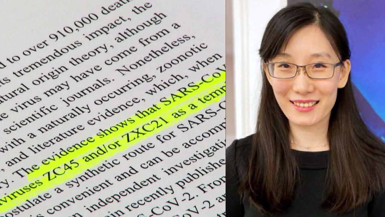 옌리멍 '조작설 논문'에 국내 과학계 "신뢰성 떨어져" / YTN