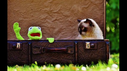 English Synonyms and Antonyms, Section 36: Immediately to Influence